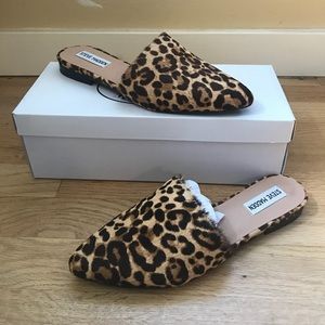 Steve Madden Trace-L shoe. Leopard. Size 8.0.